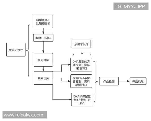 广州足球队配合分析与对比探讨球队战术与球员默契的关键因素